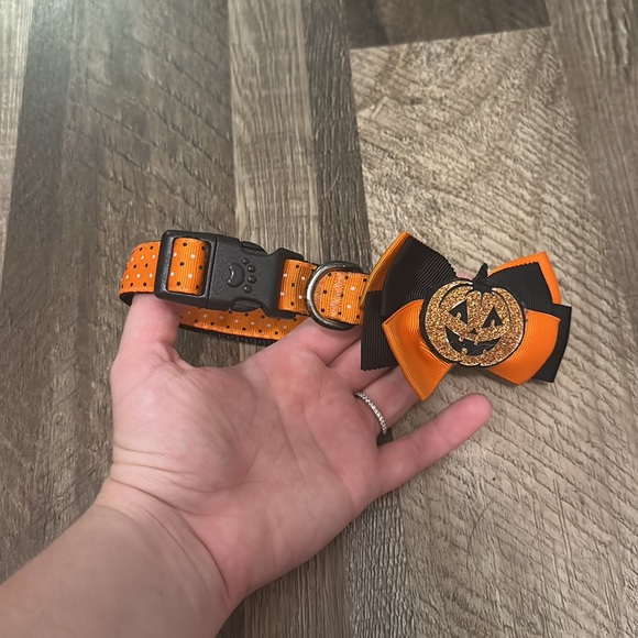 Dog collar - Picture 2 of 2